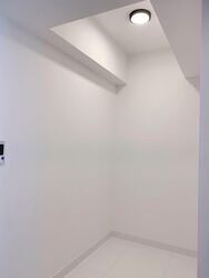 The Rise @ Oxley (D9), Condominium #562081521